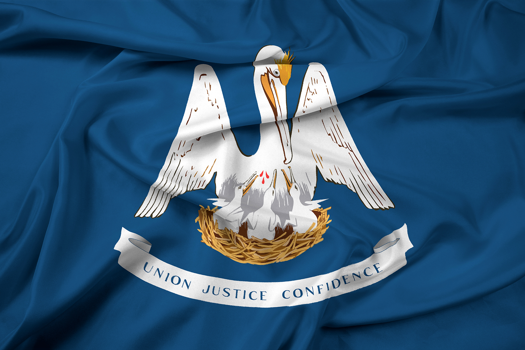 Louisiana State Flag